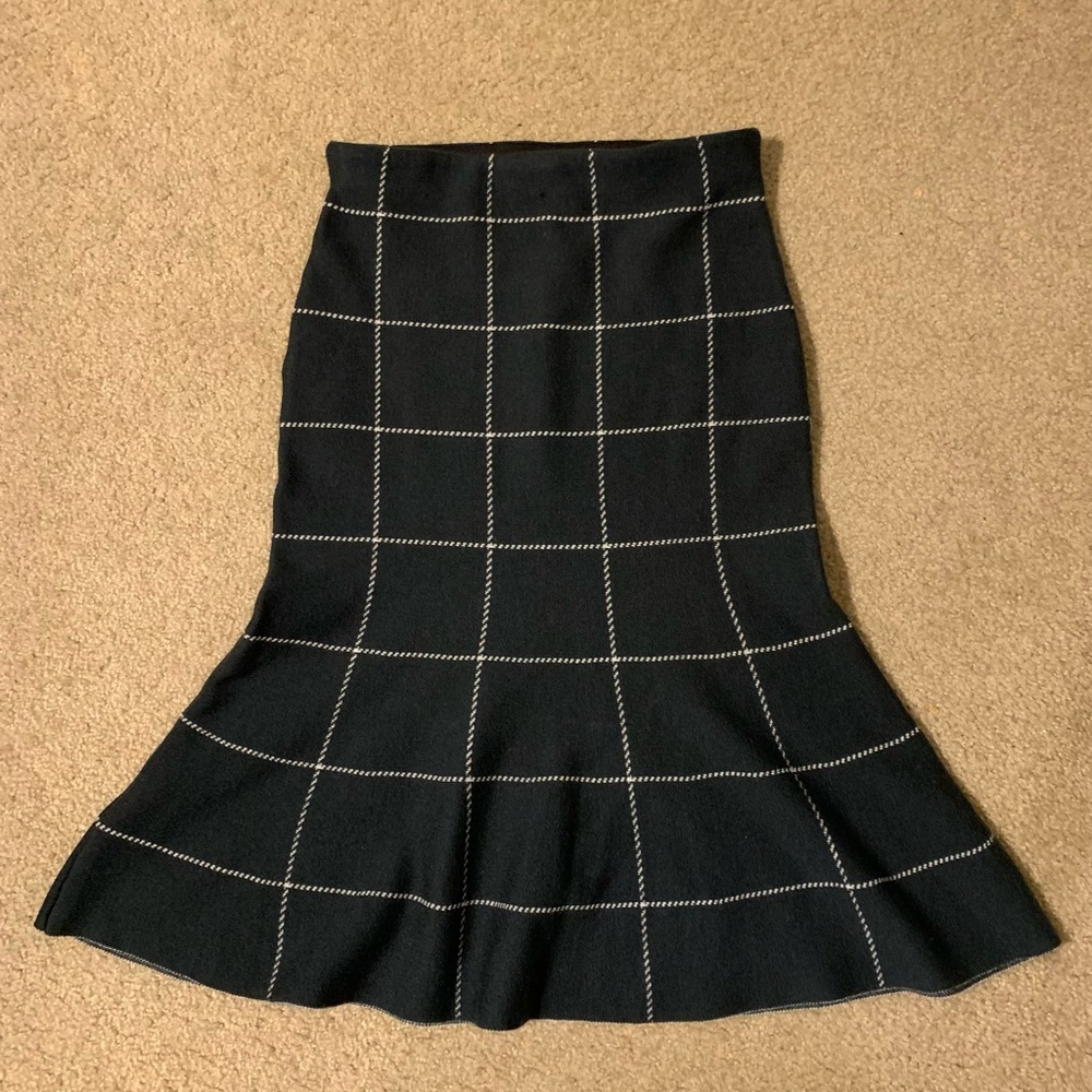 Ann Taylor Flare Skirt